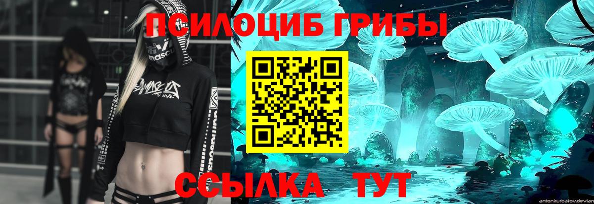 Мыски  Галлюциногенные грибы мухоморы  цена наркотик  Вход с VPN 